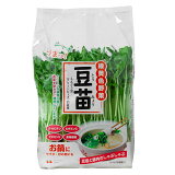 豆苗