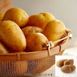 じゃがいも（メークイン）の画像