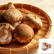 生しいたけ