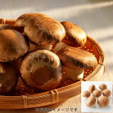 ブラウンマッシュルームの画像