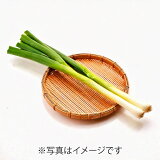長ねぎの画像