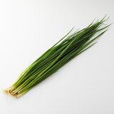 小ねぎの画像