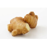 しょうがの画像