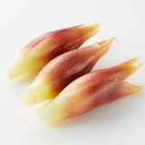 みょうがの画像