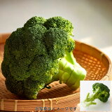 ブロッコリーの画像
