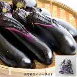 なす（もったいなす）の画像