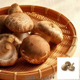 肉厚しいたけハーフパックの画像