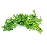 パクチーの画像