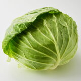 【訳あり】キャベツ（小ぶり）