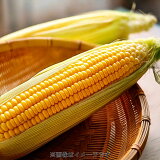 とうもろこし