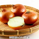 玉ねぎ（小玉）