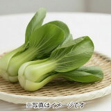 サラダ青梗菜