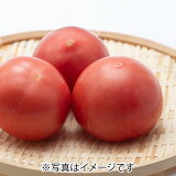 フルーツトマト（ブリックスナイン）※糖度9度以上