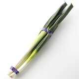 【訳あり】長ネギ