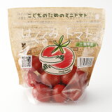 はぐくみトマト