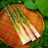 【秋田】ねまがりたけ水煮（缶詰）の画像