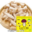 とれたて1番 富山県産カットブナシメジ(冷凍)