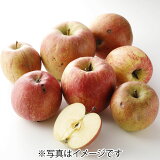 【訳あり】りんご