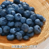ブルーベリー