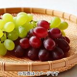 ミックスぶどうの画像