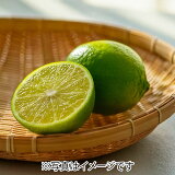ライムの画像