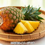 ハニーグローパインの画像