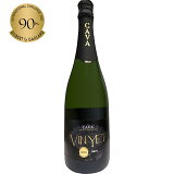 ヴィン・イェット・カバ・ブリュットの画像