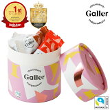 Galler ガレー ナノバー ピンク（ミルク＆ダークプラリネ）