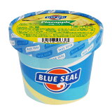 【沖縄】ブルーシール パインの画像