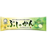四万十ぶしゅかんアイスキャンデー（冷凍）の画像