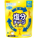 塩分チャージタブレッツ 塩レモン