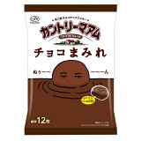 カントリーマアム チョコまみれの画像